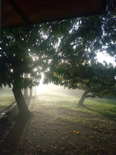 Imagen 19 de 28 de Finca En Venta En El Estado Guarico