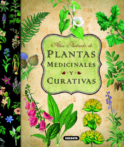 Atlas Ilustrado De Plantas Medicinales Y Curacivas (edicin E