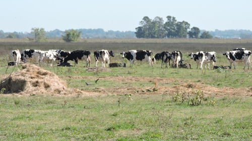 Imagen 9 de 16 de 360 Has Campo Mixto En Venta, Magdalena. Ex Tambo 80 % Agrícola.