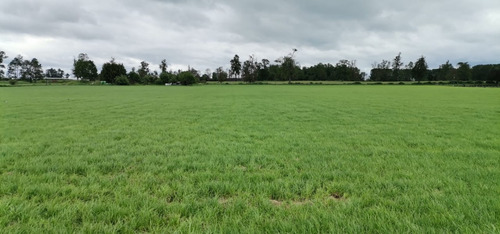 Terreno Cercano A Aeropuerto De Osorno Camino Al Lago Puyehu