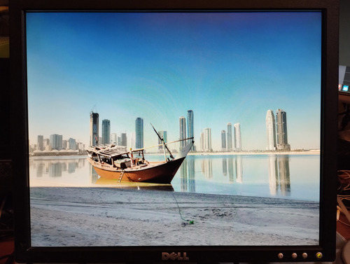 Monitor Dell 17 PuLG E178fpb Vga (Usado)