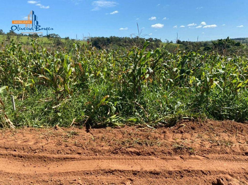 Imagem 9 de 13 de Chácaras À Venda, De 3.000 À 8.000 M² Média De R$ 70.000 - Zona Rural - Abadiânia/go - Ch0106