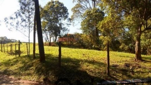 Imagem 3 de 5 de Terreno - Alvarenga - Ref: 1380 - V-3496