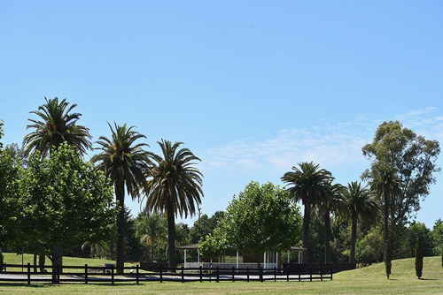 Imagen 29 de 30 de Exclusivos Lotes En Technopolo En Gral Rodriguez Capital Del Polo Argentino