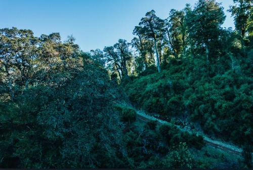 Exclusivo Macrolote De 22,54 Has En Reserva Calfuco