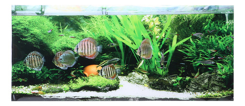 Póster De Pecera De 91 X 50 Cm, Adhesivo De Pvc, Fondo Marin