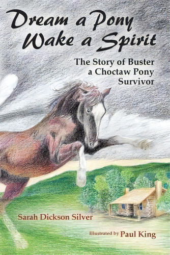 Dream A Pony, Wake A Spirit, De Sarah Dickson Silver. Editorial Luminare Press, Tapa Blanda En Inglés