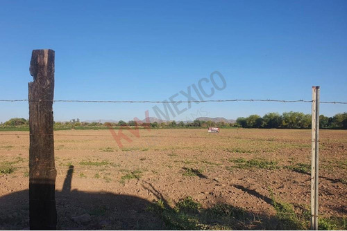 Terreno En Venta En Colonia Severo Moreno Atención Agricultores E Inversionistas ¡gran ...