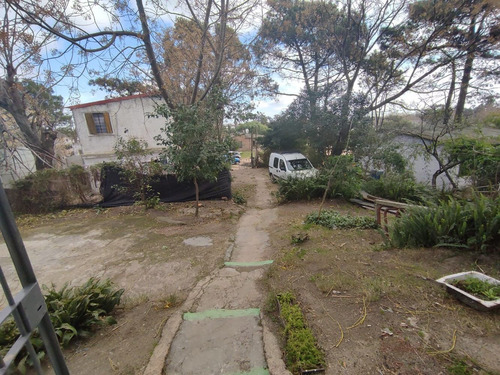Imagen 4 de 14 de Alquiler Casa 3 Dormitorios - El Pinar
