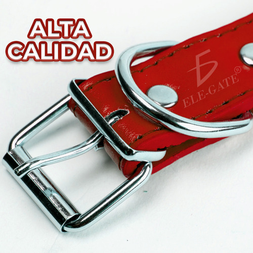 Collar Mascota Cuero Resistente Diseño Huellas Ajustable L Color Rojo Huella