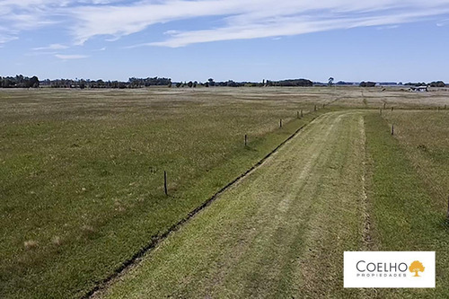 Imagen 23 de 30 de Terreno - Carmen De Areco