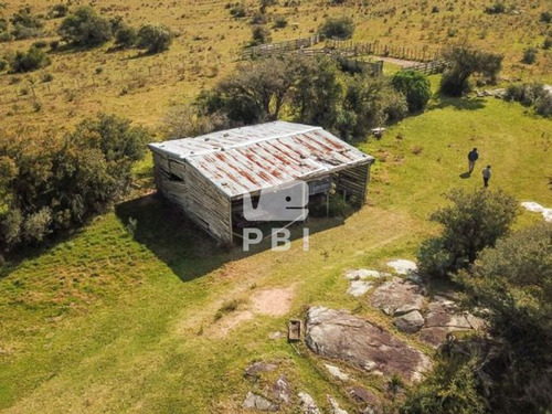 Imagen 5 de 23 de Chacra En Venta Las Cañas 3 Dormitorios - Ref : Pbi1699