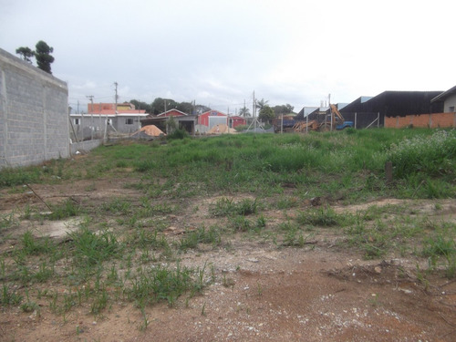 Imagem 2 de 9 de Terreno Comercial Frente Para Asfalto