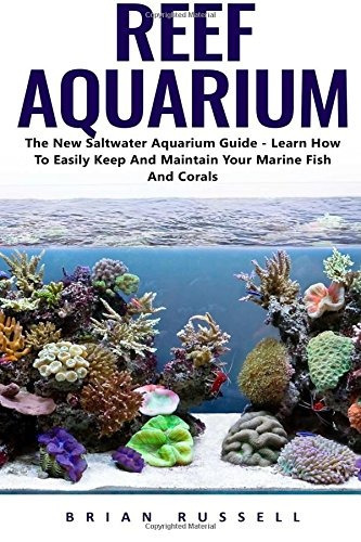 Reef Aquarium The New Saltwater Aquarium Guide  Learn How To