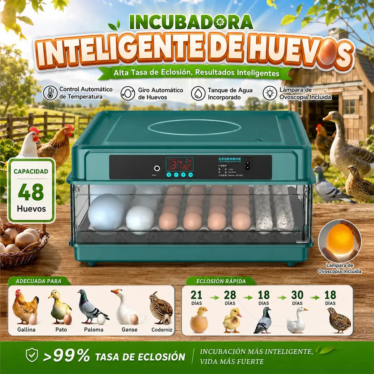 Incubadora Automática Lubardy de 48 Huevos con Control de Temperatura y Giro, Pantalla LED