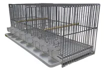 Comprar Jaulas Lopardo De Cria 60cm. Liviana Con Bandeja De Plastico