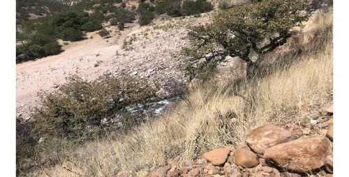 Imagen 7 de 7 de Se Vende Terreno Nonoava, Chihuahua