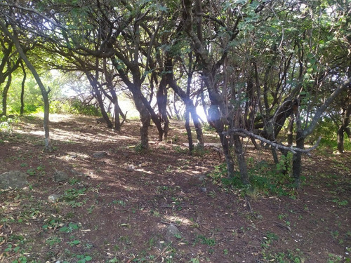 Imagen 9 de 12 de Lote 1250 M² - Barrio Cerrado La Rufina