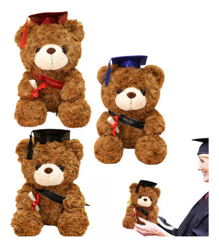 Juguete De Oso, 3 Piezas, Animal For Ceremonia De Graduació