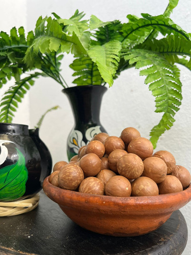 Nuez De Macadamia Con Cascara 5 Kg