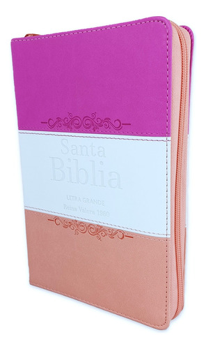 Biblia Rvr 1960 Letra Grande Con Cierre E Indice Tricolor