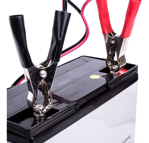 Imagen 4 de 9 de Cargador Batería 6 Y 12 V Auto Moto Dunlop Ml