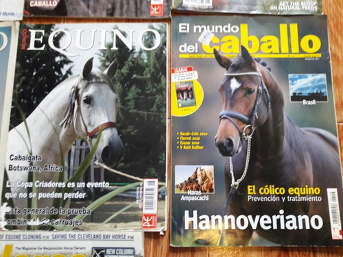 Lote De 10 Revistas De Caballos