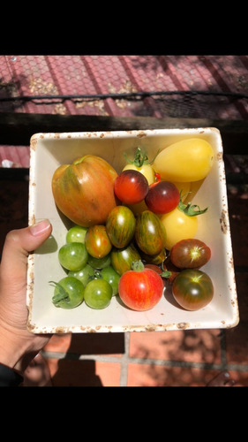 Semillas Para Huerta Tomates Exóticos - Promo