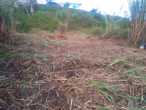 Imagen 10 de 10 de Terreno Polonias Nuevas