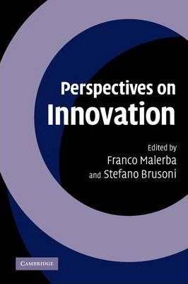 Libro Perspectives On Innovation - Franco Malerba