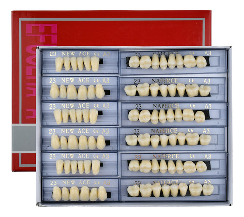 168 Piezas Dentales De Resina Sinttica Dental, 3 Juegos De D