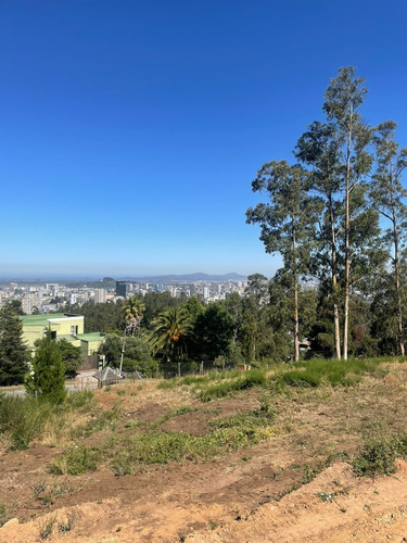 Terrenos En Venta Lo Pequen, Alto Concepción