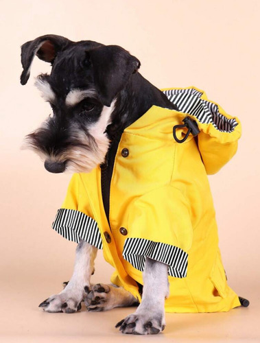Piloto Impermeable De Lluvia Para Perros - Los Michis Locos 3 Xl