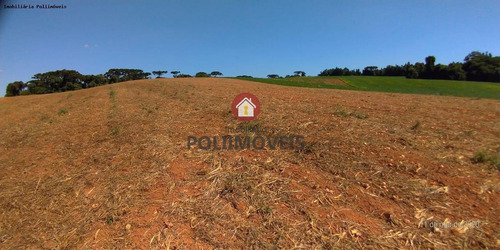Imagem 7 de 11 de Área Para Venda Em Contenda, Contenda - Ar0613_2-1449826