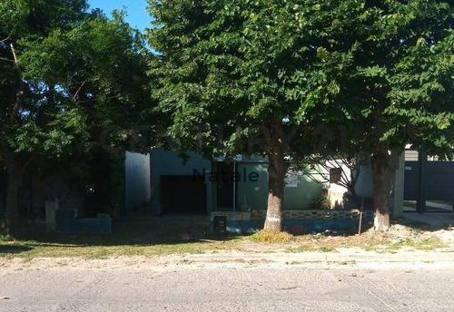 Imagen 1 de 2 de Montevideo Y 49. Venta Importante Lote 10x60 En Berisso
