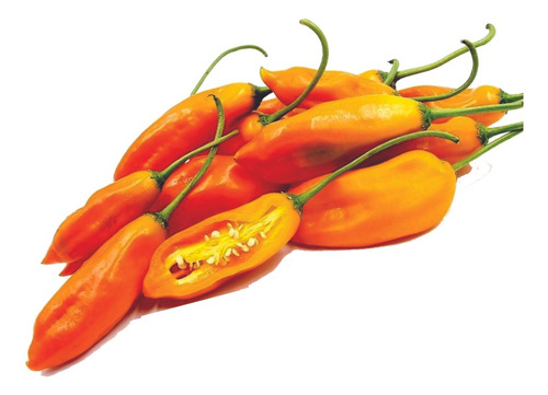 Sementes De Pimenta Aji Amarillo Pimenta Peruana Pra Hortas