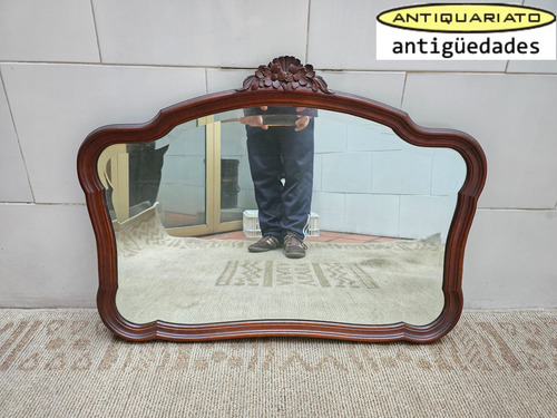 Espejo Provenzal Biselado Dormitorio Sala Baño Livin Antiguo Lustrado (Usado)