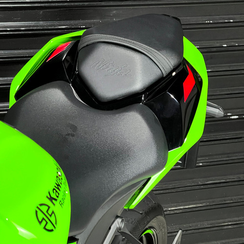 Zx-10 R