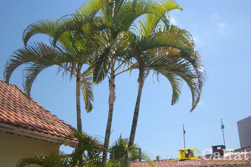 Casa Com 3 Dorms, Guilhermina, Praia Grande - R$ 650 Mil, Cod: 607 - V607