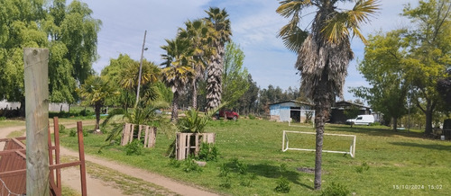 Parcela De 6,5 Ha En Comuna Rio Claro, Region Del Maule,
