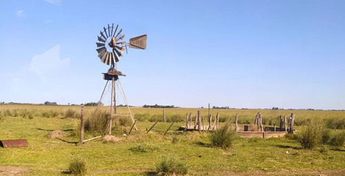 Venta Campo Ganadero 86 Has. Campo Andino Santa Fe