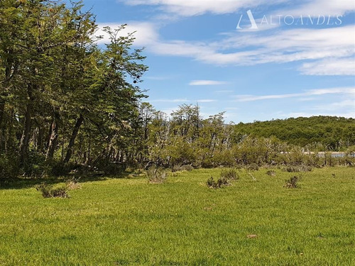 Imagen 14 de 30 de Sitio En Venta En Coihaique