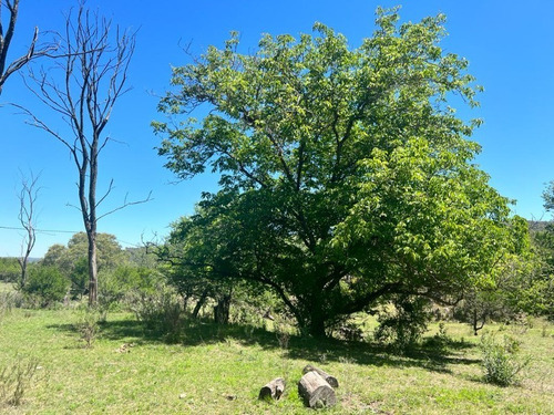 Venta De Lote Barrio Semi Cerrado Pueblo Henen En Cerro Pelado - Tlc0802