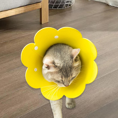 Collar De Cono Para Gato, Cono Isabelino, Práctico Y