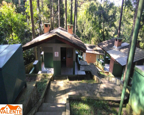 Imagem 21 de 25 de Apartamento - Ar00350 - 70622263