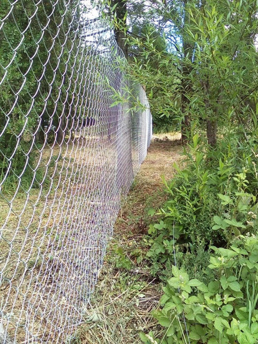 Imagen 7 de 12 de Terreno 450 Mt2 Lago Puelo Con Arboles Autoctonos Cercado