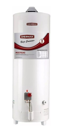 Termotanque Sherman (rheem) 120 Litros De Pie Gas Natural