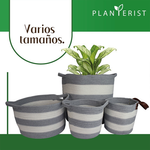 Planterist - Maceta Tejida Autorregable - Mediana Color Santa Catarina