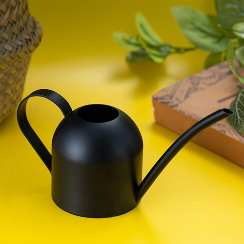 Gtx Regadera De Pico Largo Para Plantas Y Flores