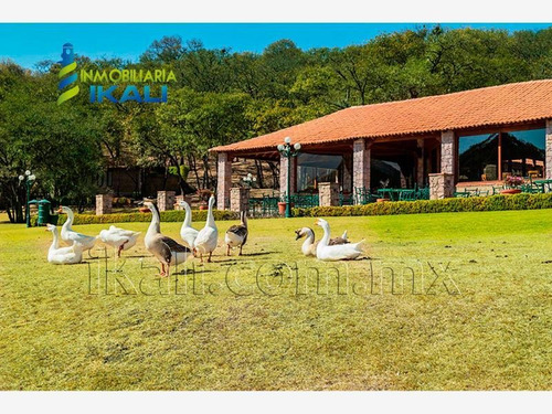Imagen 10 de 12 de Terreno En Venta Fracc Haras Del Bosque